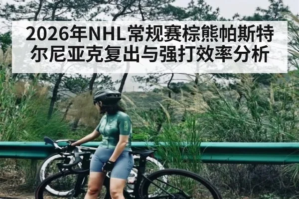2026年NHL常规赛棕熊帕斯特尔尼亚克复出与强打效率分析